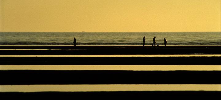 mare